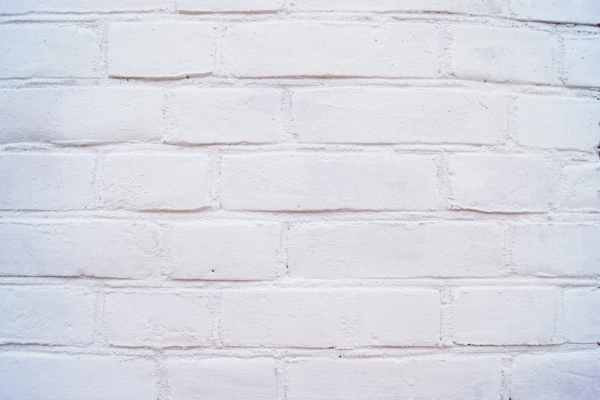 Cegła Biała 25x12x6,5cm